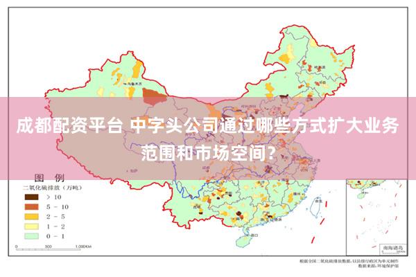 成都配资平台 中字头公司通过哪些方式扩大业务范围和市场空间？