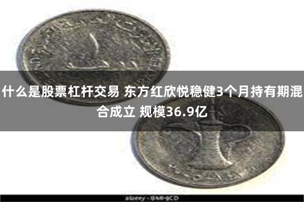 什么是股票杠杆交易 东方红欣悦稳健3个月持有期混合成立 规模36.9亿