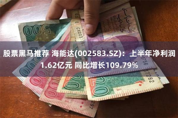 股票黑马推荐 海能达(002583.SZ)：上半年净利润1.62亿元 同比增长109.79%