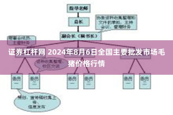 证券杠杆网 2024年8月6日全国主要批发市场毛猪价格行情