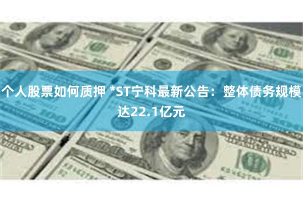 个人股票如何质押 *ST宁科最新公告：整体债务规模达22.1亿元