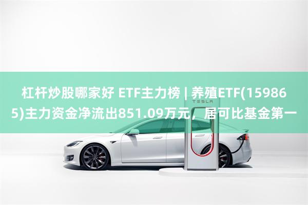 杠杆炒股哪家好 ETF主力榜 | 养殖ETF(159865)主力资金净流出851.09万元，居可比基金第一