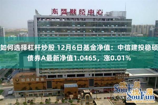 如何选择杠杆炒股 12月6日基金净值：中信建投稳硕债券A最新净值1.0465，涨0.01%