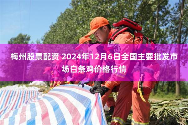 梅州股票配资 2024年12月6日全国主要批发市场白条鸡价格行情