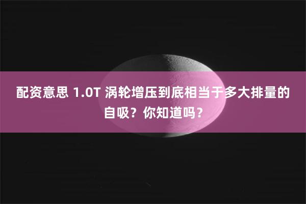 配资意思 1.0T 涡轮增压到底相当于多大排量的自吸？你知道吗？