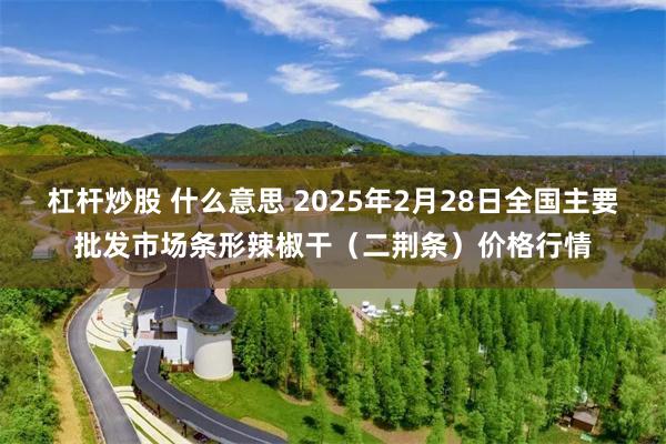 杠杆炒股 什么意思 2025年2月28日全国主要批发市场条形辣椒干（二荆条）价格行情