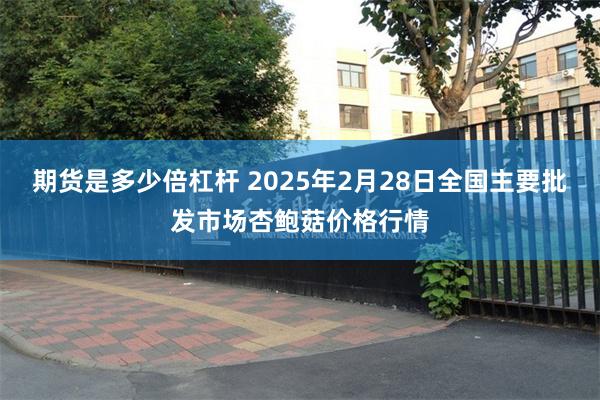 期货是多少倍杠杆 2025年2月28日全国主要批发市场杏鲍菇价格行情