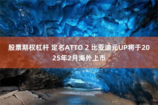 股票期权杠杆 定名ATTO 2 比亚迪元UP将于2025年2月海外上市